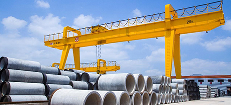 Double Girder Gantry Crane