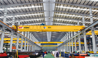 Double Girder Overhead Crane